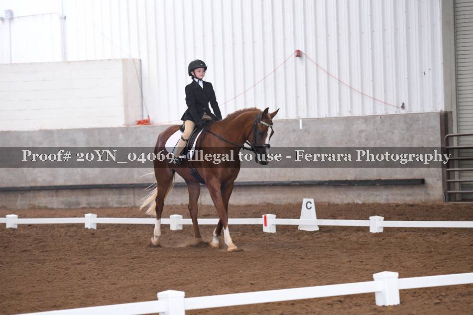 Proof 20YN_04069