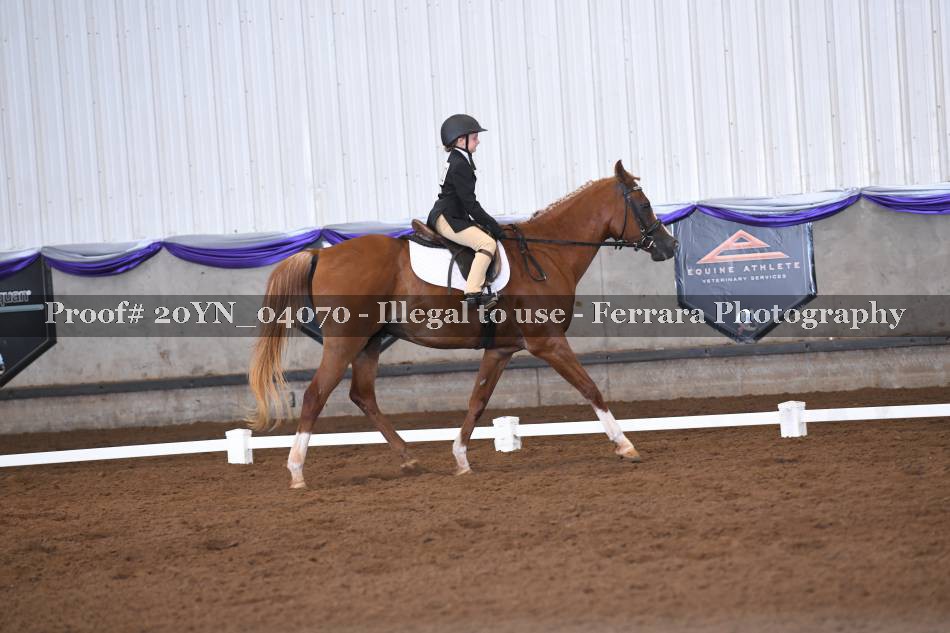 Proof 20YN_04070