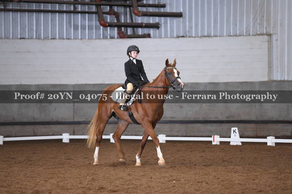 Proof 20YN_04075
