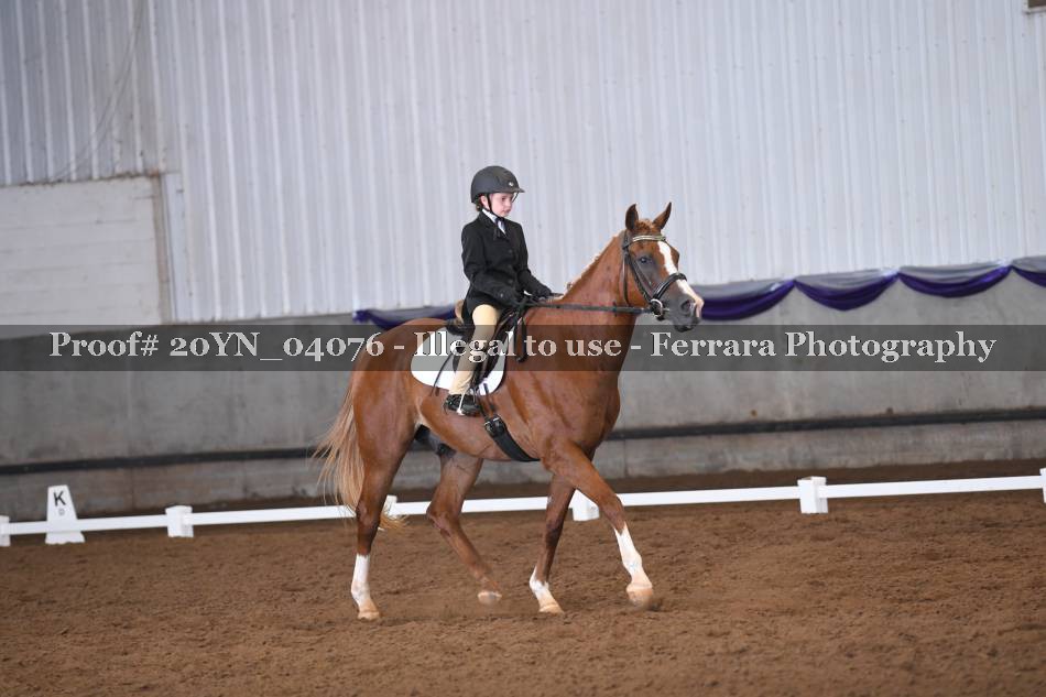 Proof 20YN_04076