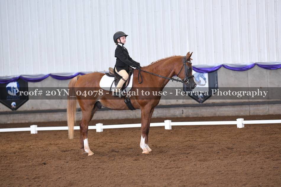 Proof 20YN_04078