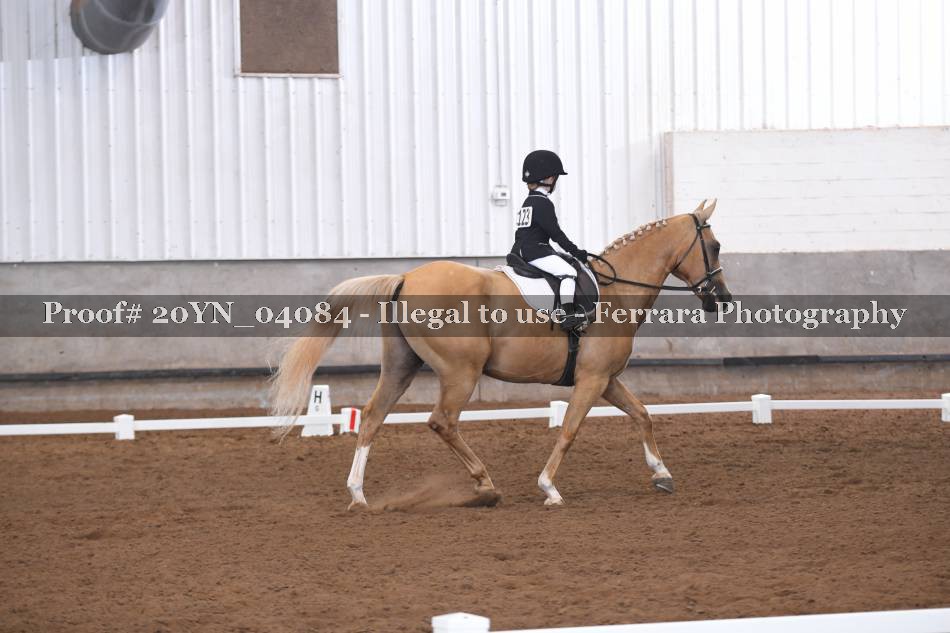 Proof 20YN_04084