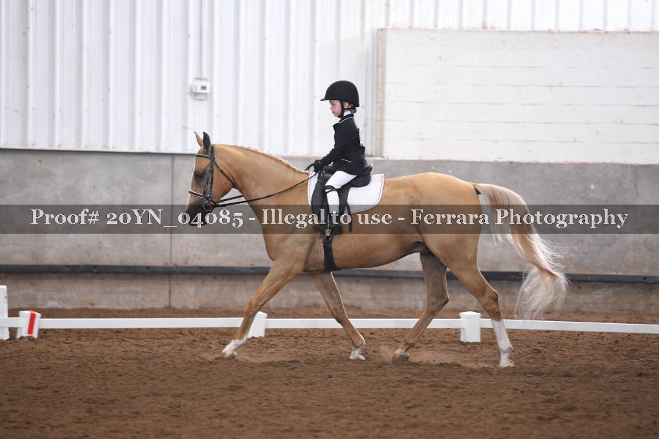 Proof 20YN_04085