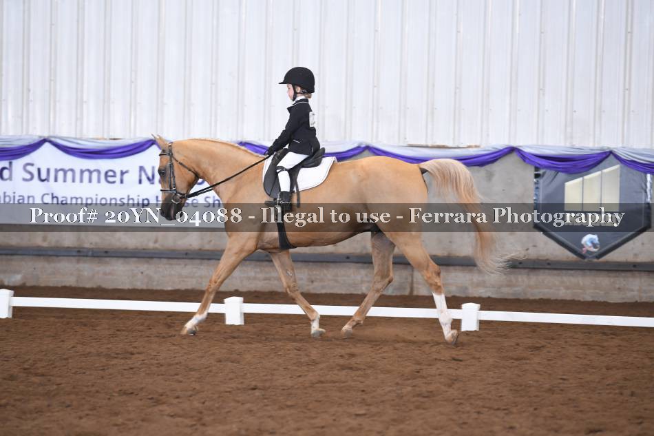 Proof 20YN_04088
