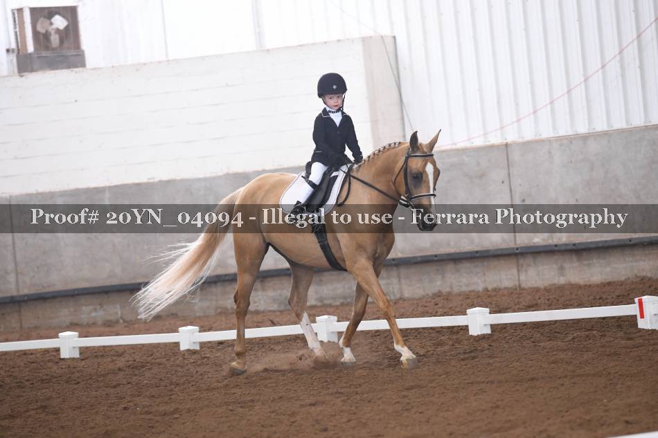 Proof 20YN_04094