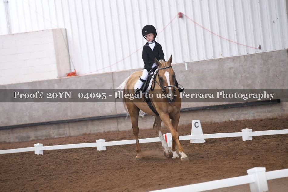 Proof 20YN_04095