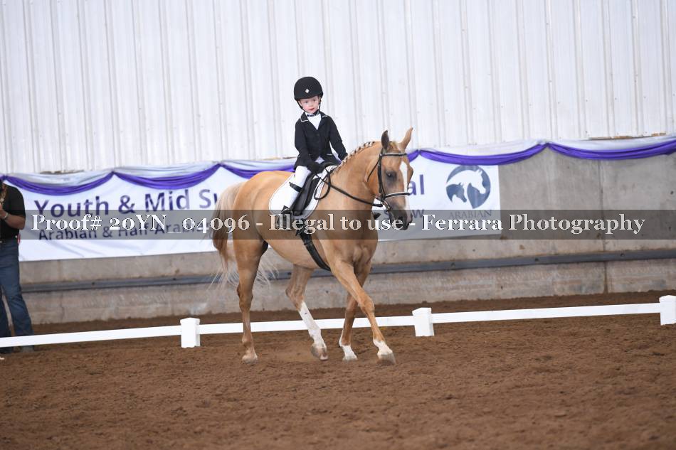 Proof 20YN_04096