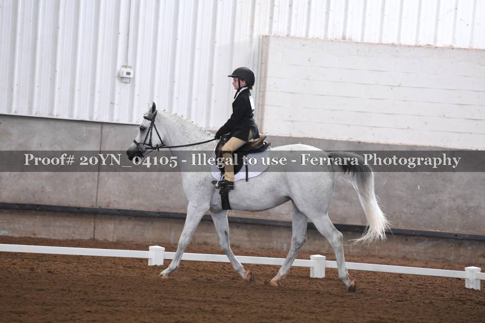 Proof 20YN_04105