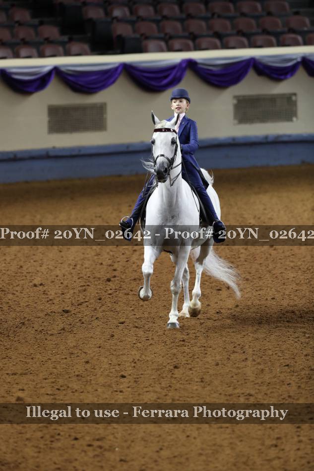 Proof 20YN_02642