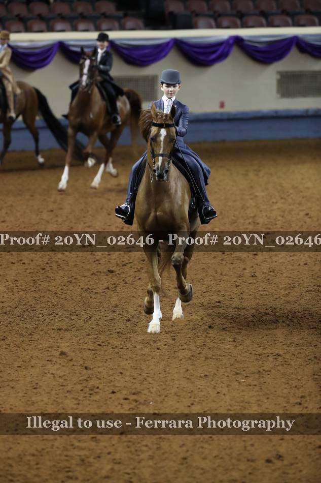 Proof 20YN_02646