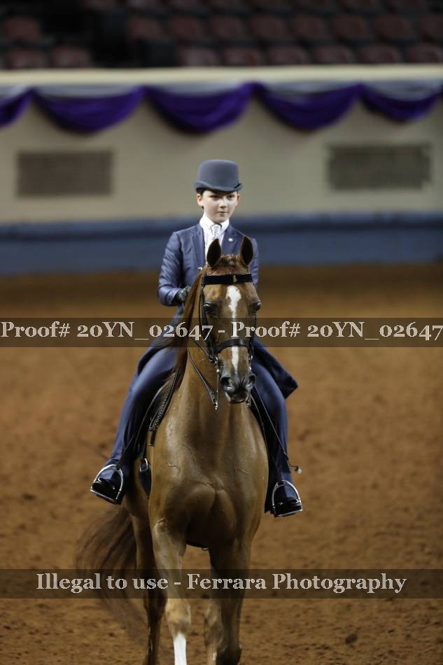 Proof 20YN_02647
