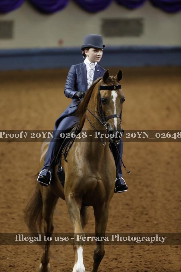 Proof 20YN_02648