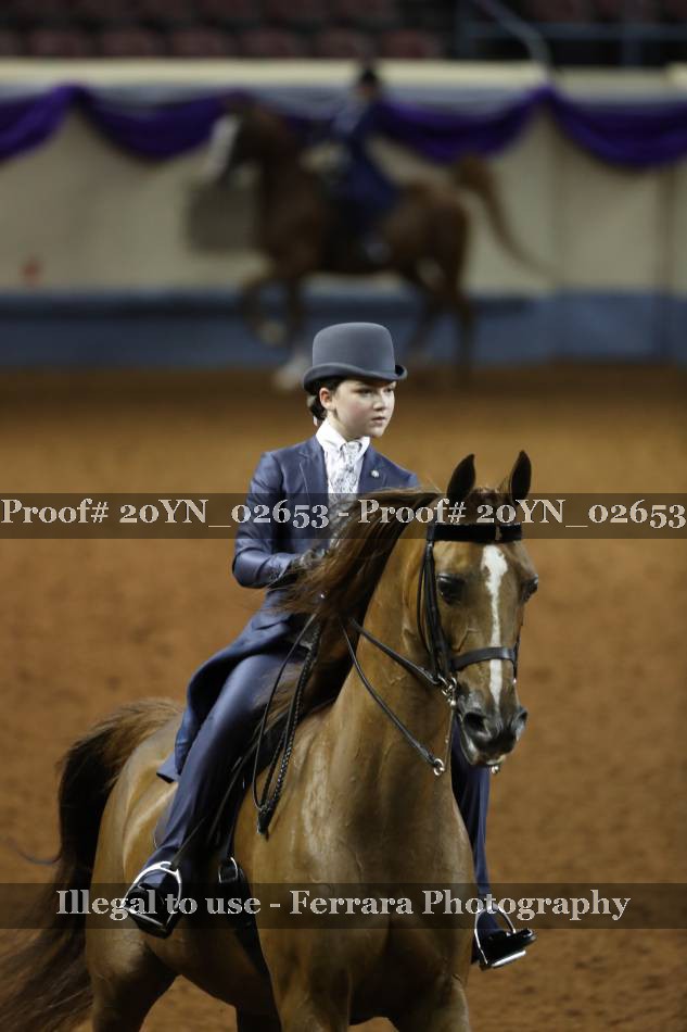Proof 20YN_02653