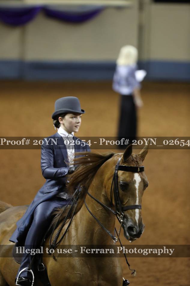 Proof 20YN_02654