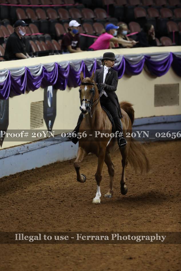 Proof 20YN_02656