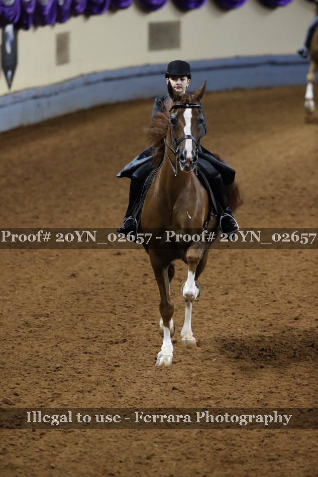 Proof 20YN_02657