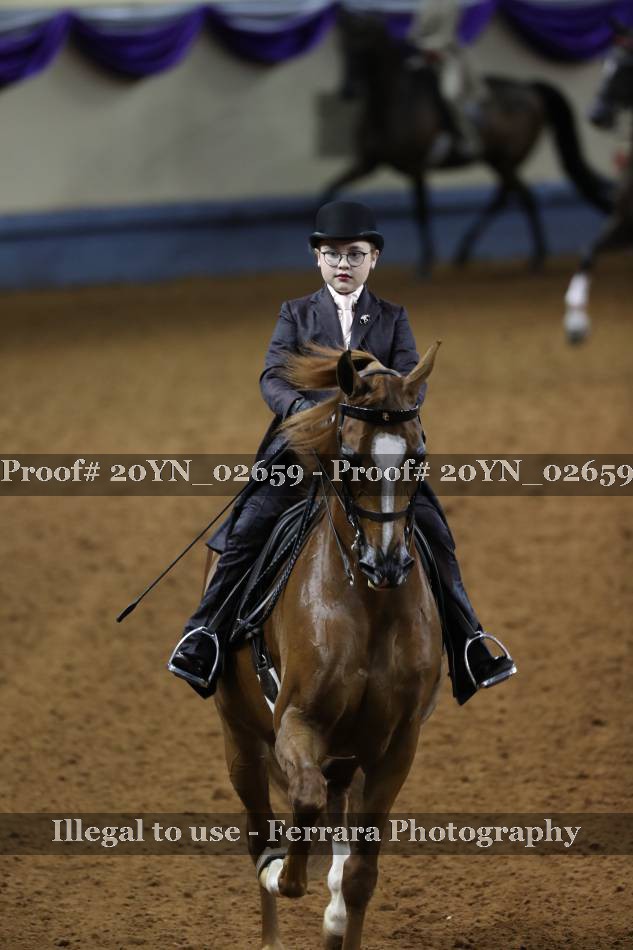 Proof 20YN_02659