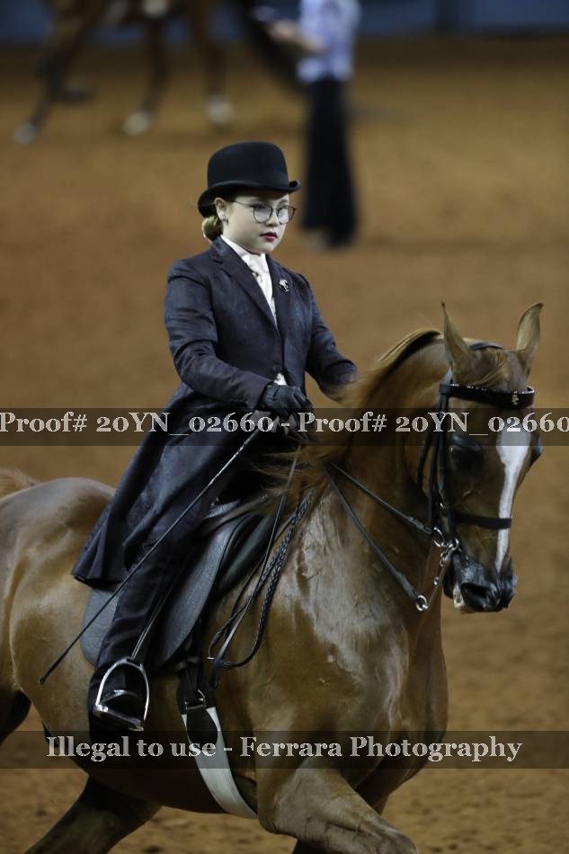 Proof 20YN_02660
