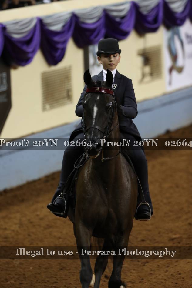Proof 20YN_02664