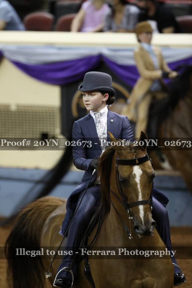 Proof 20YN_02673