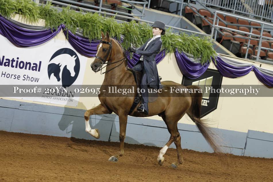 Proof 20YN_02695
