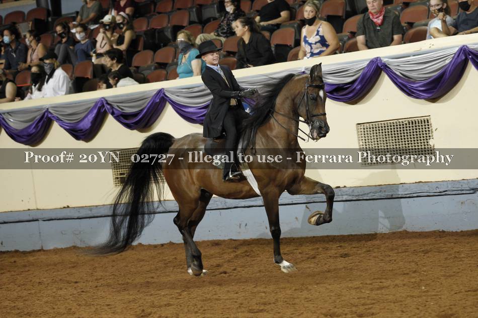Proof 20YN_02727