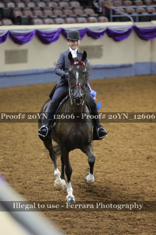 Proof 20YN_12606