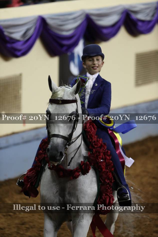 Proof 20YN_12676
