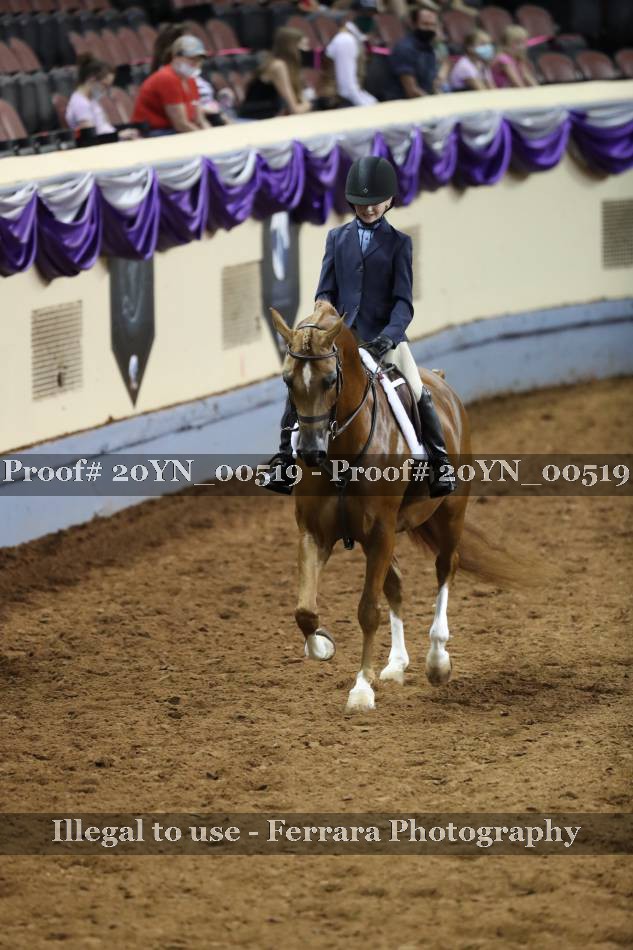 Proof 20YN_00519