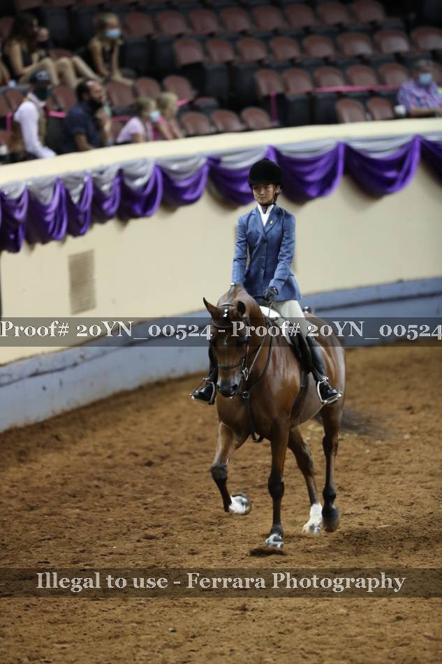 Proof 20YN_00524
