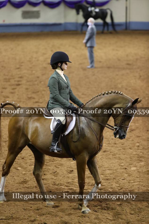Proof 20YN_00559