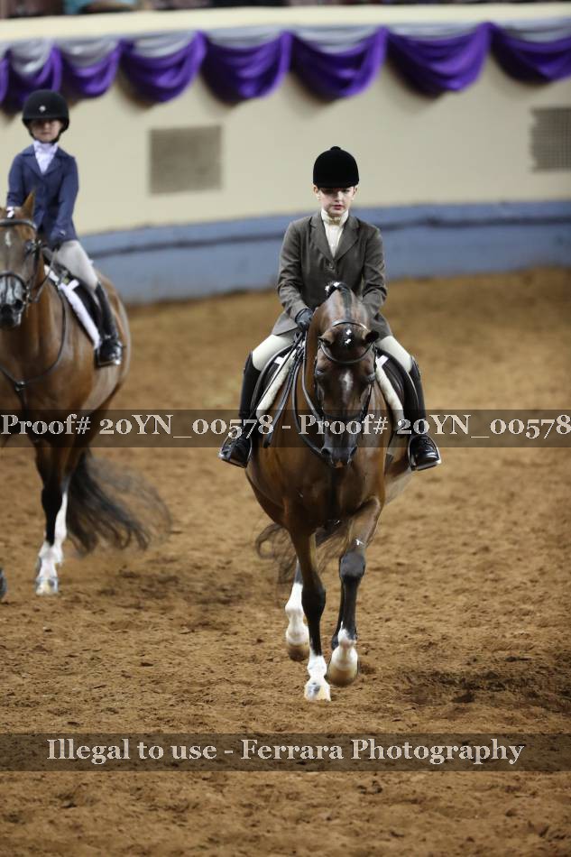 Proof 20YN_00578