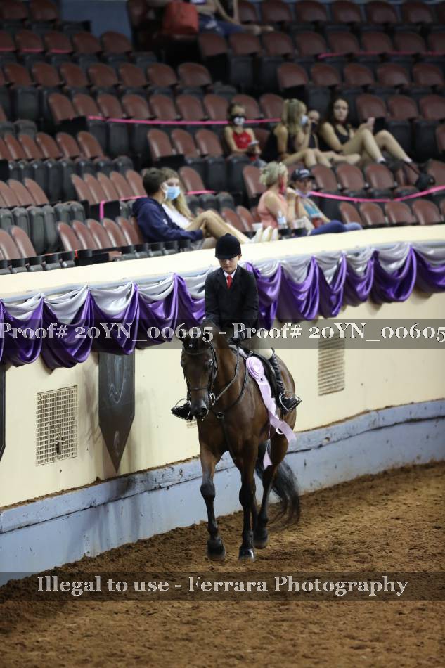 Proof 20YN_00605