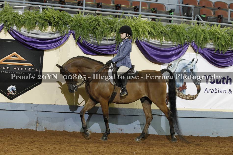 Proof 20YN_00805