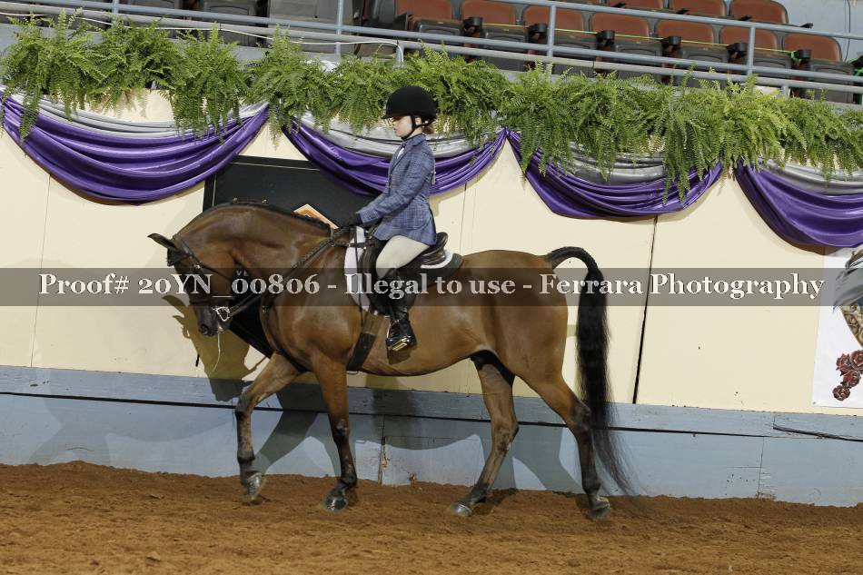Proof 20YN_00806