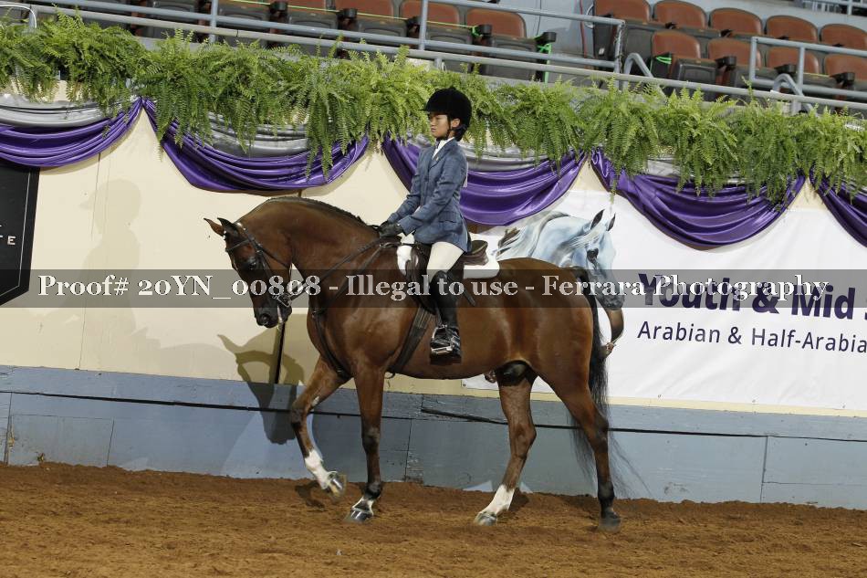 Proof 20YN_00808