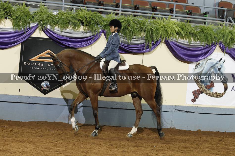 Proof 20YN_00809