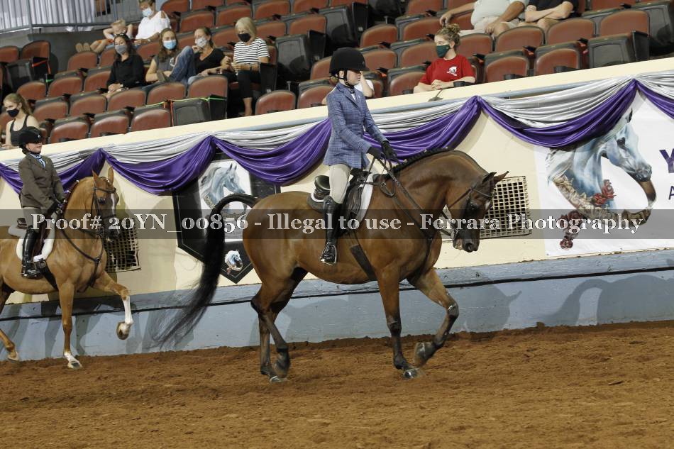 Proof 20YN_00856