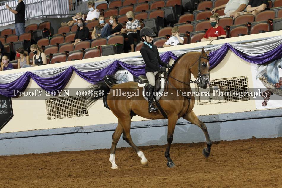 Proof 20YN_00858