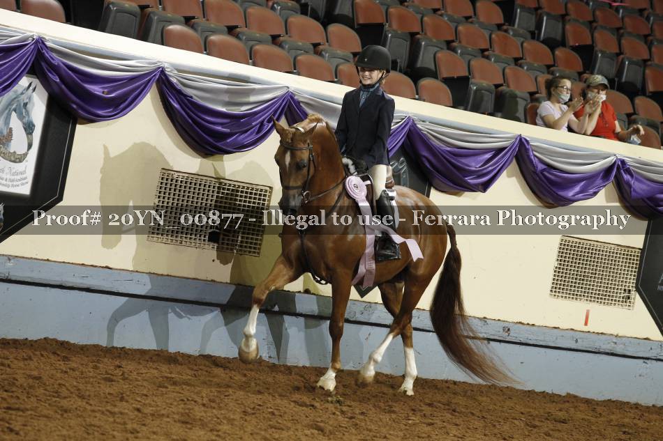 Proof 20YN_00877