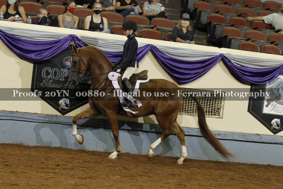 Proof 20YN_00880