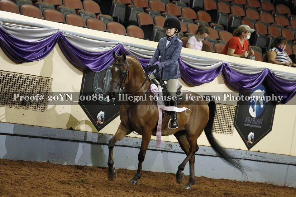 Proof 20YN_00884