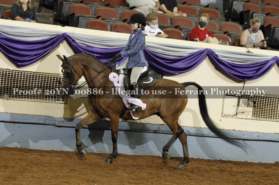 Proof 20YN_00886