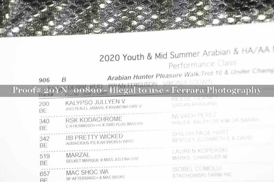 Proof 20YN_00890