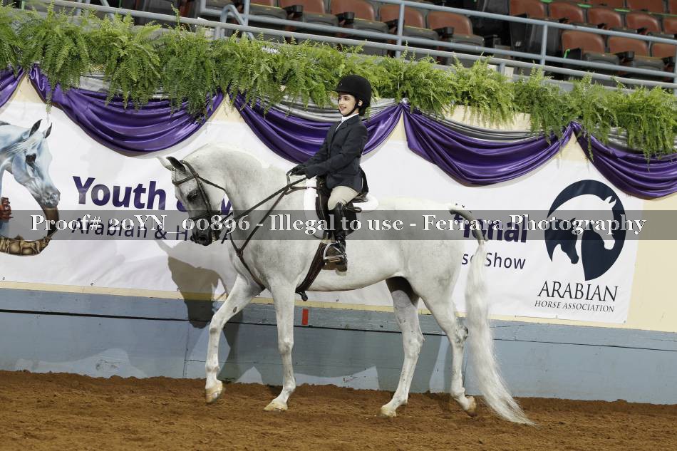 Proof 20YN_00896