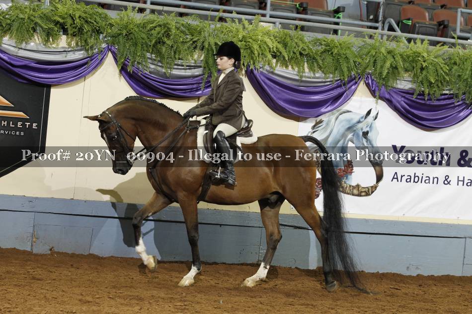 Proof 20YN_00904