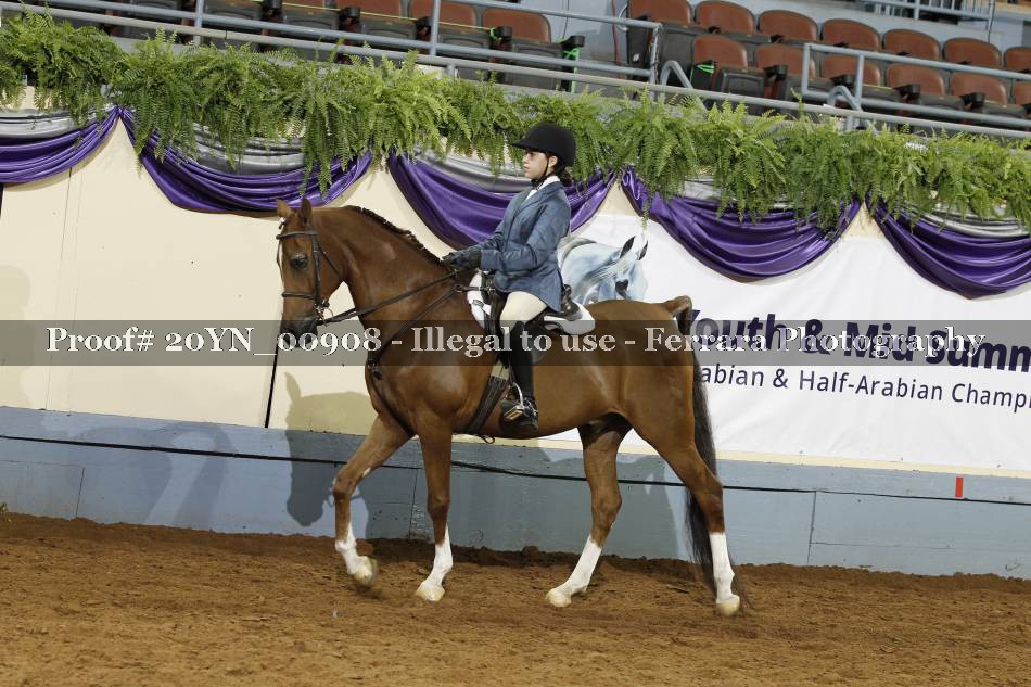 Proof 20YN_00908