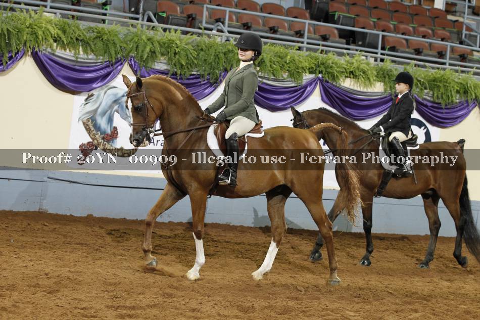 Proof 20YN_00909