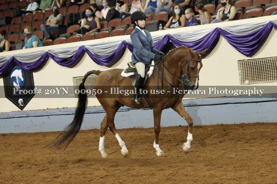 Proof 20YN_00950