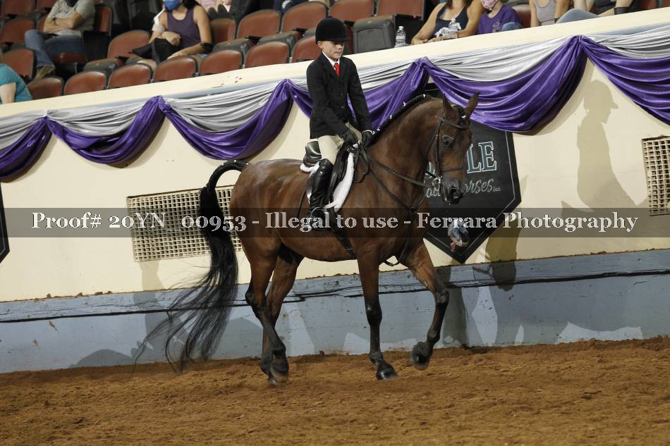 Proof 20YN_00953